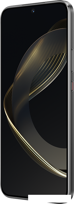 Смартфон Huawei nova 11 FOA-LX9 8GB/256GB (черный)