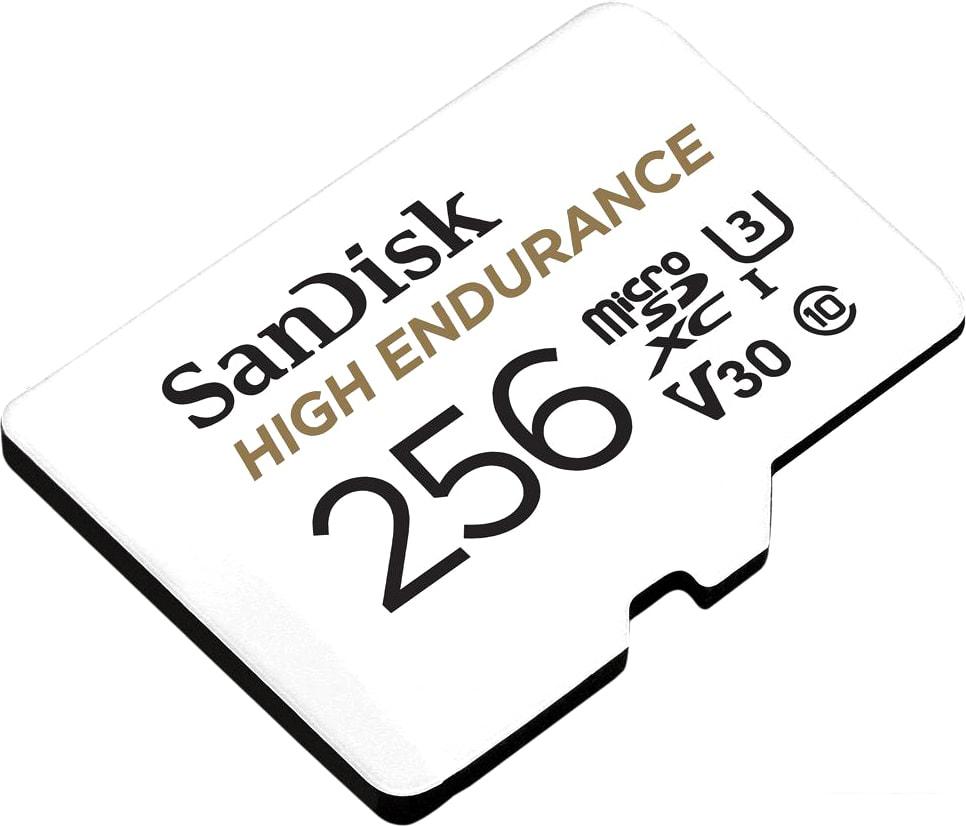 Карта памяти SanDisk High Endurance microSDXC SDSQQNR-256G-GN6IA 256GB